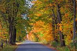 Autumn Road_23322